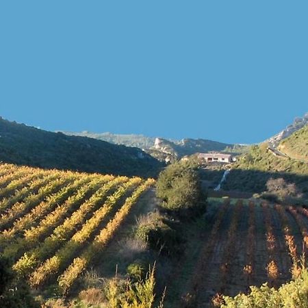 Gite Dans Ancienne Bergerie En Pleine Garrigue Fraissé-des-Corbières Exteriör bild