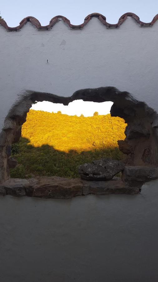 Gite Dans Ancienne Bergerie En Pleine Garrigue Fraissé-des-Corbières Exteriör bild