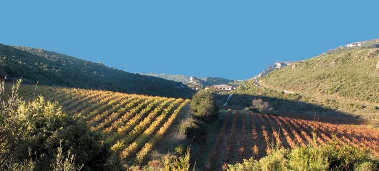 Gite Dans Ancienne Bergerie En Pleine Garrigue Fraissé-des-Corbières Exteriör bild