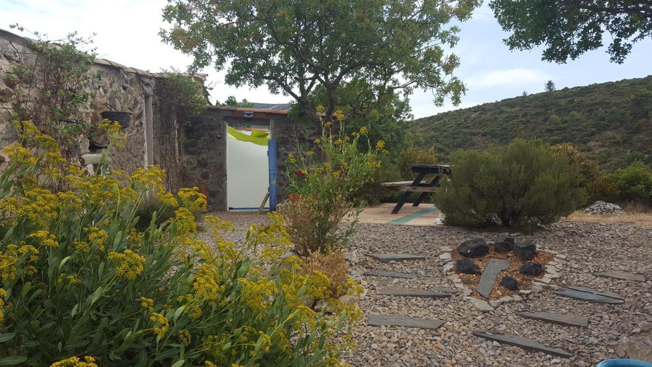 Gite Dans Ancienne Bergerie En Pleine Garrigue Fraissé-des-Corbières Exteriör bild