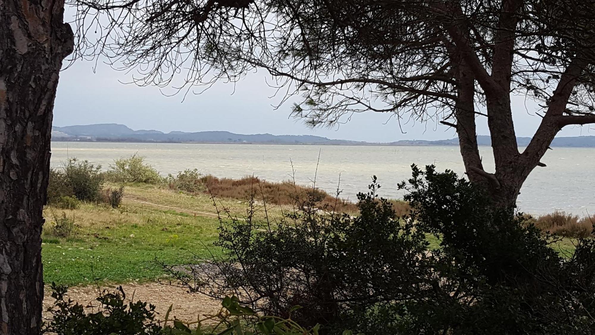 Gite Dans Ancienne Bergerie En Pleine Garrigue Fraissé-des-Corbières Exteriör bild
