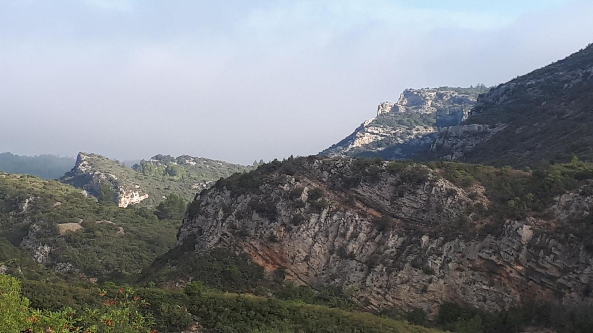 Gite Dans Ancienne Bergerie En Pleine Garrigue Fraissé-des-Corbières Exteriör bild