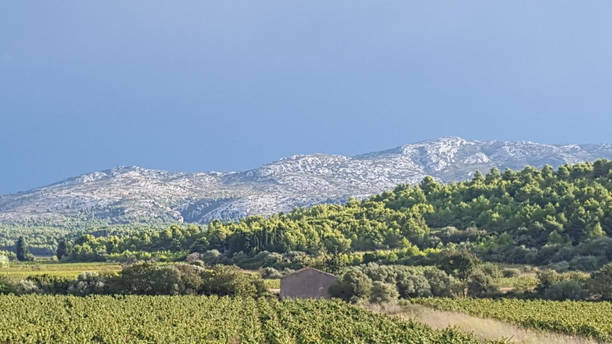 Gite Dans Ancienne Bergerie En Pleine Garrigue Fraissé-des-Corbières Exteriör bild